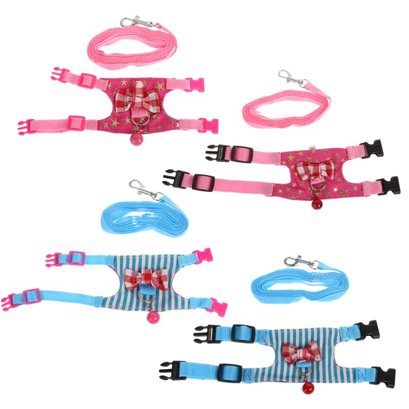Small Pet Harness Set — Colorful Supervised Exploring