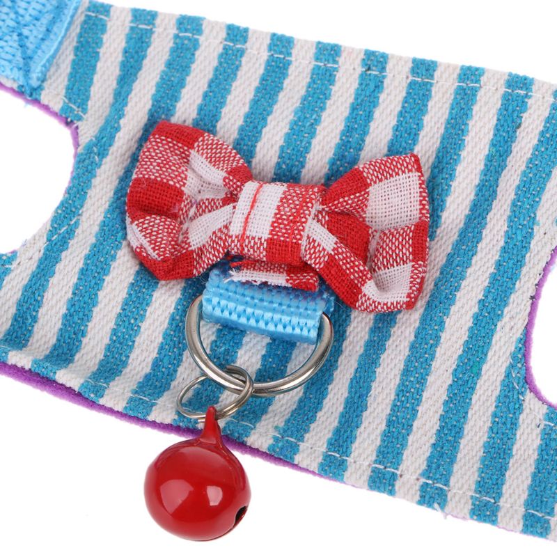 Small Pet Harness Set — Colorful Supervised Exploring