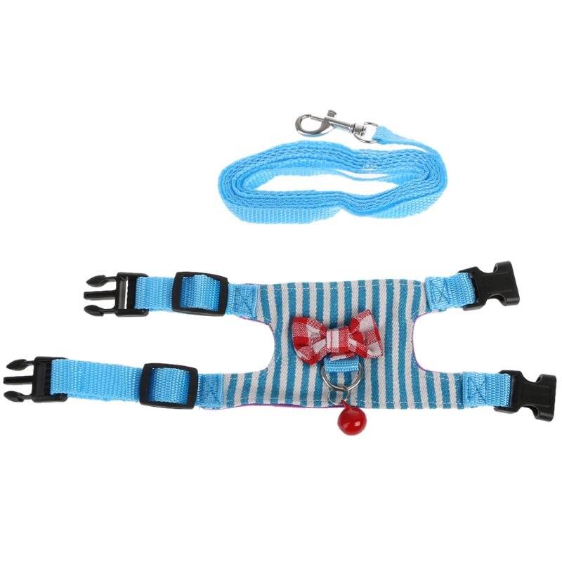 Small Pet Harness Set — Colorful Supervised Exploring