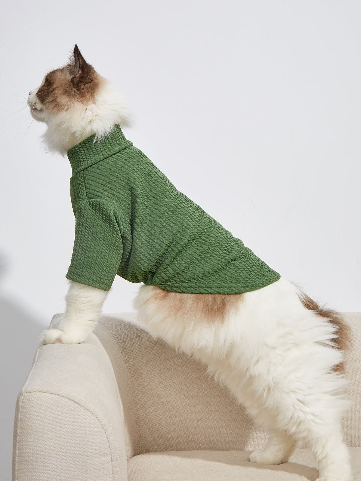 Dog Coats Sweaters — Soft Knit Coverage For Small Dogs