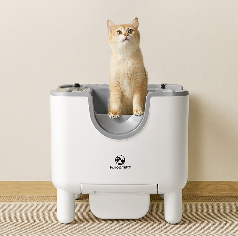 Smart Cat Litter Box for Easier Daily Cat Cleanup
