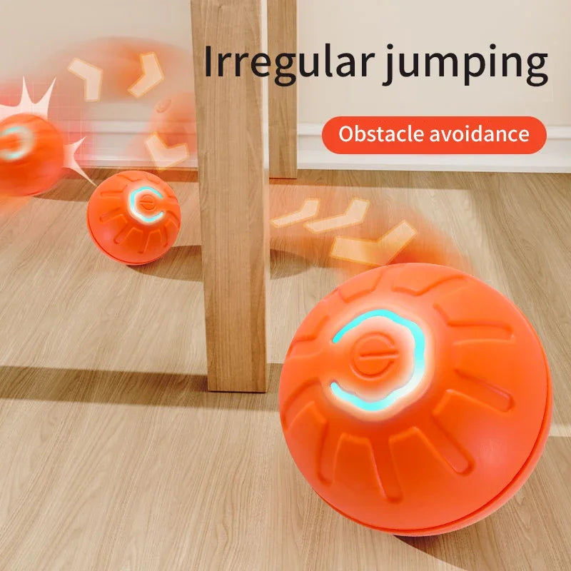 Interactive Dog Ball for Engaging Indoor Dog Exercise