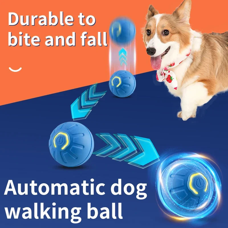 Interactive Dog Ball for Engaging Indoor Dog Exercise