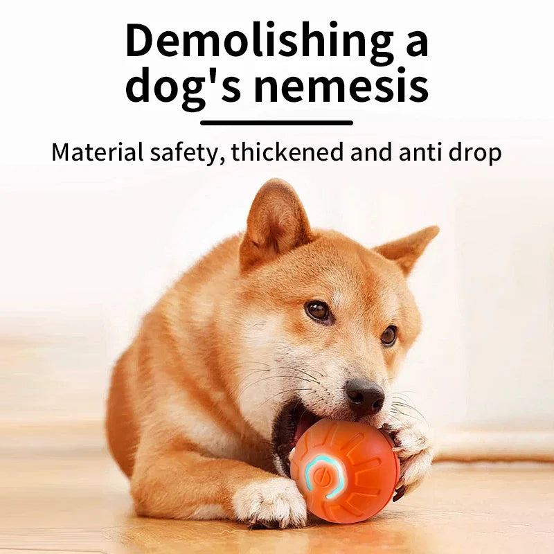 Interactive Dog Ball for Engaging Indoor Dog Exercise