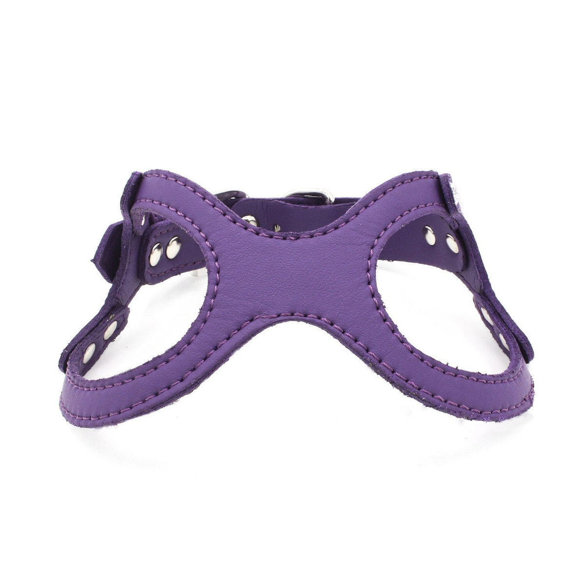 Small Dog & Cat Vest Harness for Comfy, Secure Walks