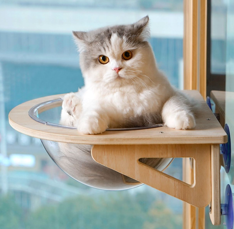 Cat Window Perch With Solid Wood Clear Bubble Bowl