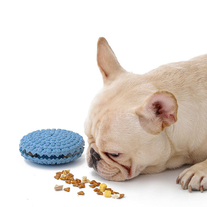 Textured Treat-Dispensing Dog Toy for Focused Play