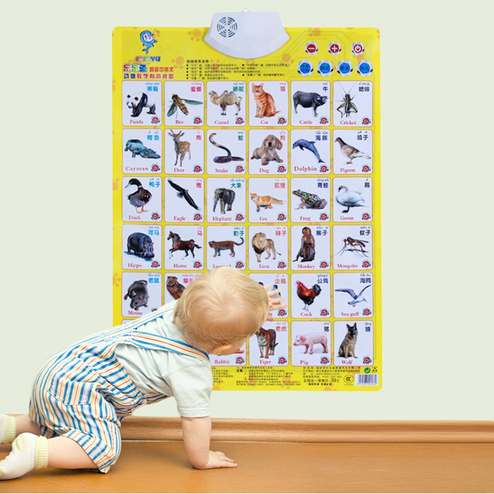Interactive English Alphabet Wall Chart Learning Toy