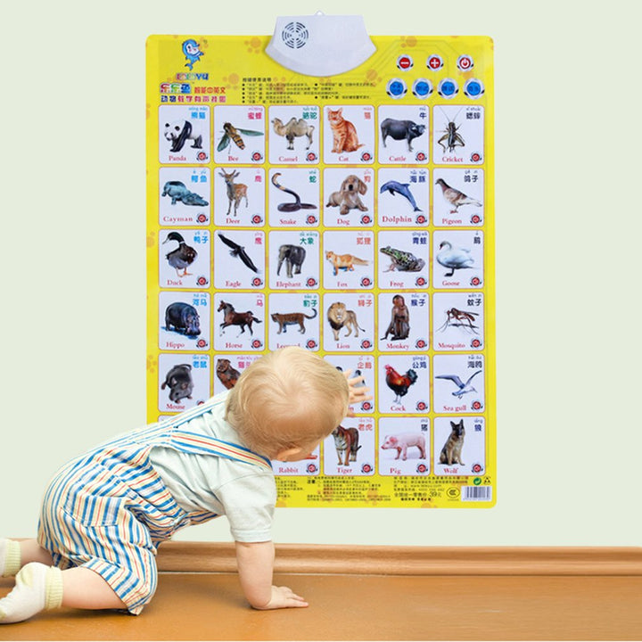 Interactive English Alphabet Wall Chart Learning Toy