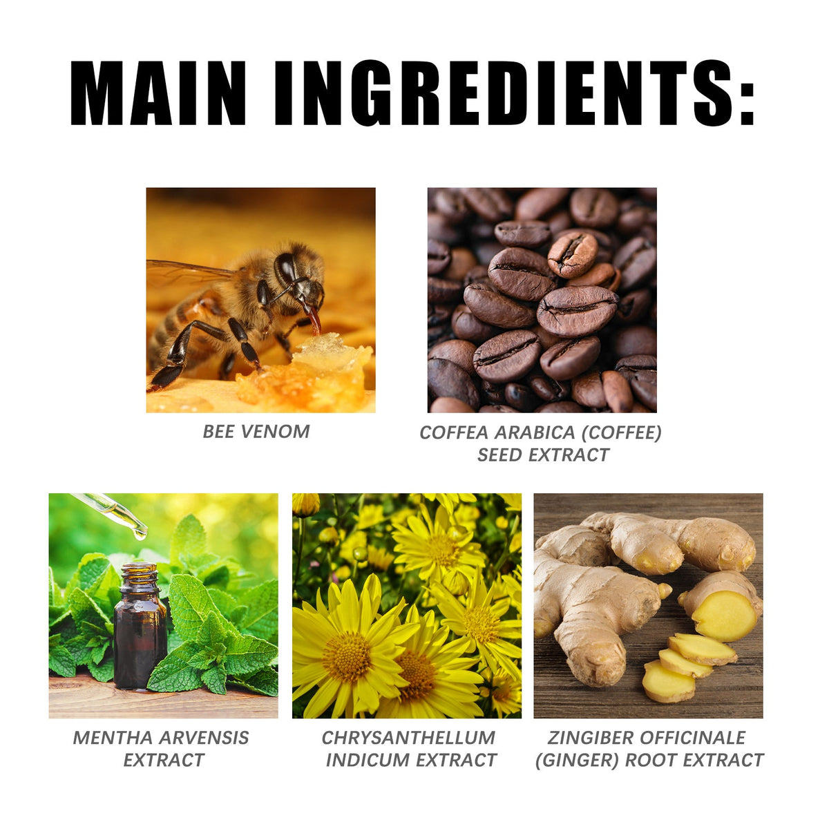 Bee Venom Slimming Oil for Firmer Body Curves at Home
