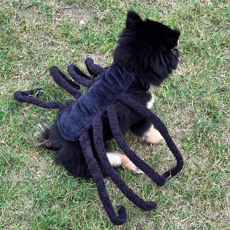 Spider Back Pet Costume for Cats, Puppies & Small Dogs