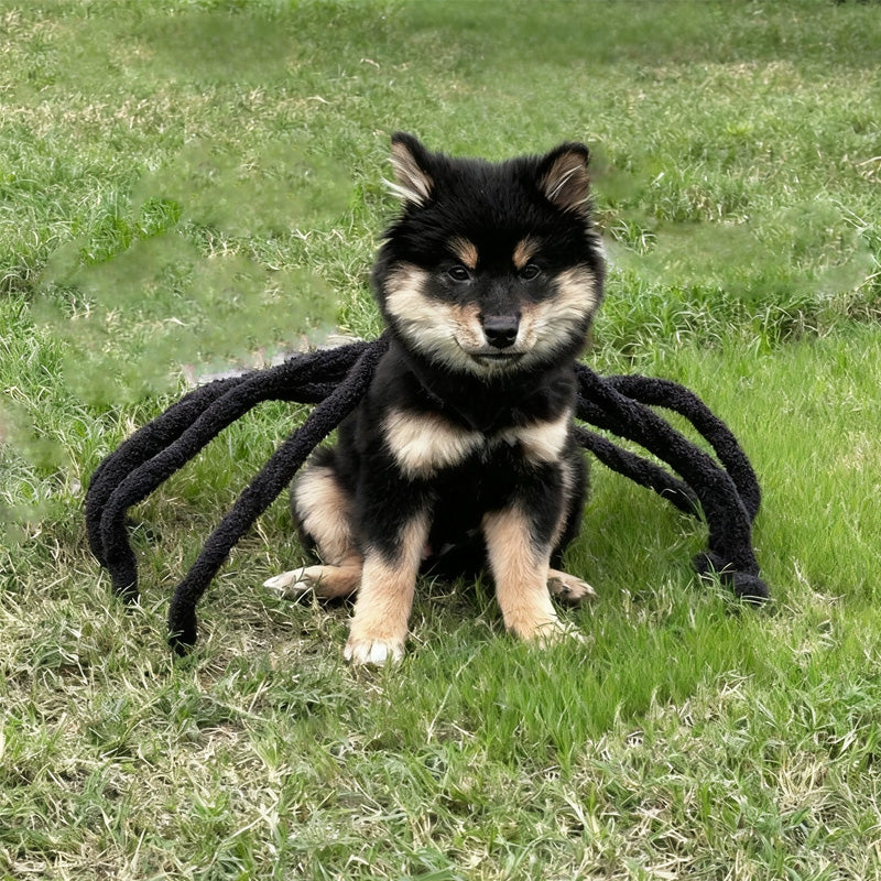 Spider Back Pet Costume for Cats, Puppies & Small Dogs