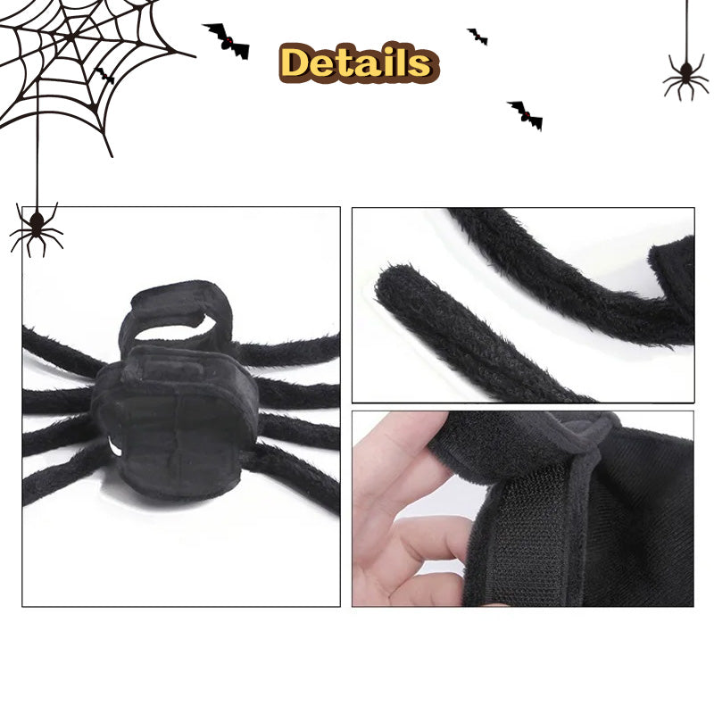 Spider Back Pet Costume for Cats, Puppies & Small Dogs