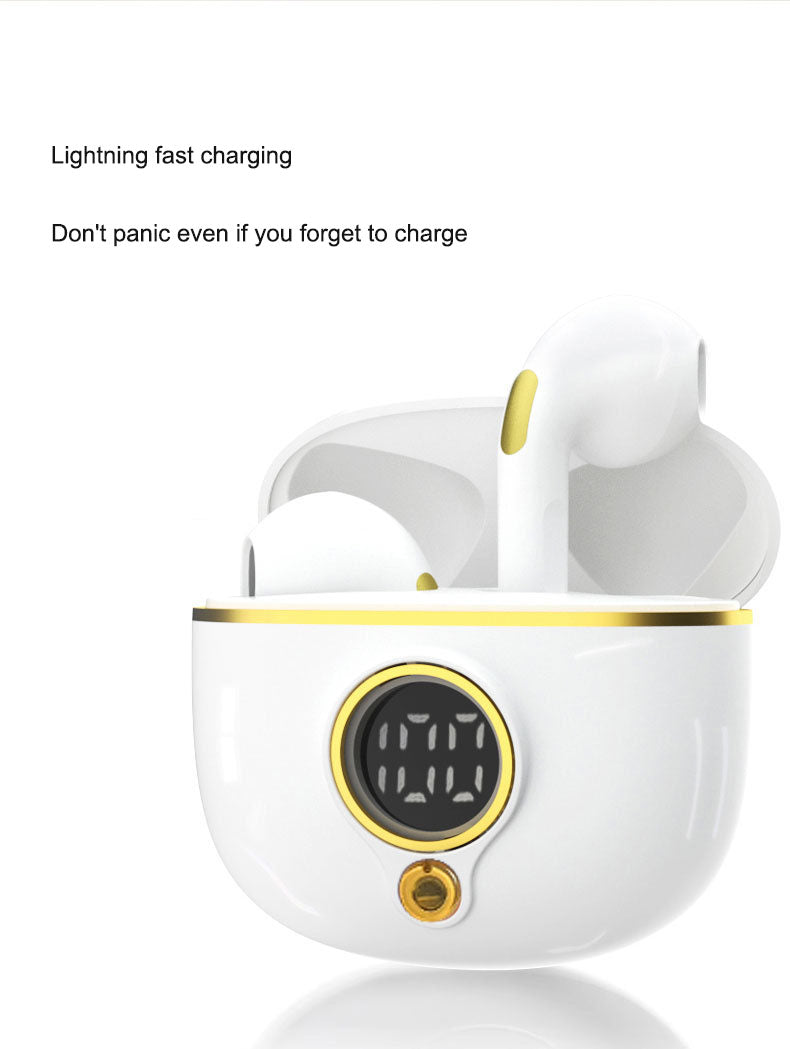 Sports Bluetooth Earbuds with LED Battery Display Case