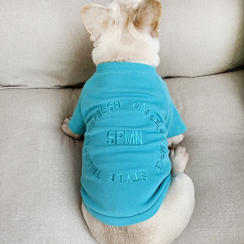 Matching Pet And Owner Outfits For Colorful Photos