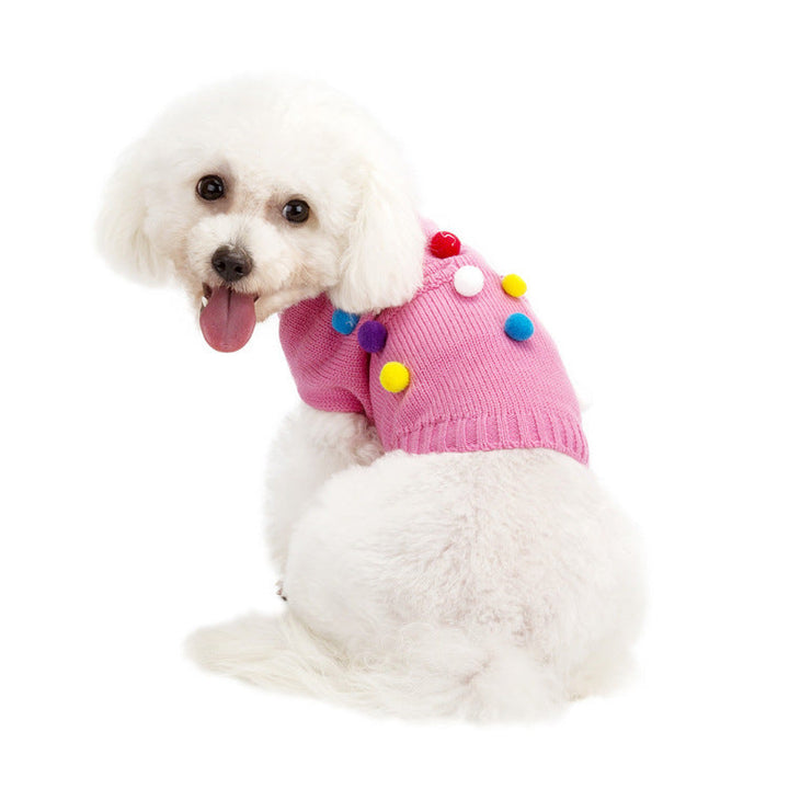 Small Dog Sweater for Cozy, Colorful Autumn Walks