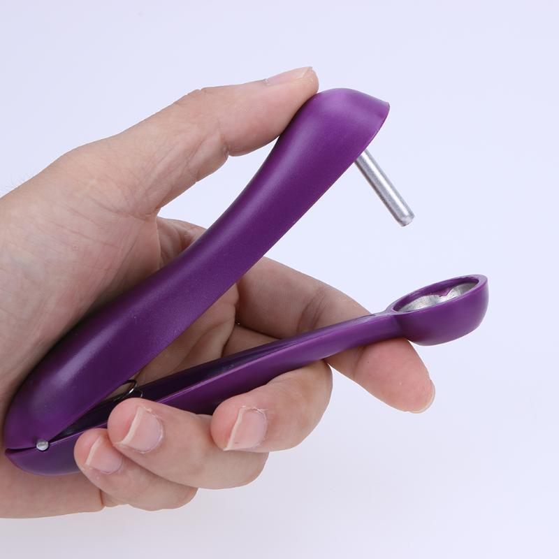 Stainless Steel Cherry Pitter for Whole Fruit