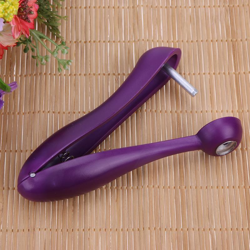 Stainless Steel Cherry Pitter for Whole Fruit