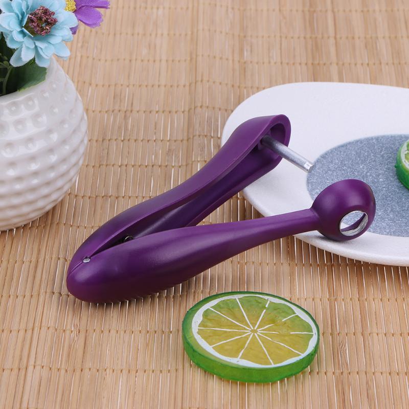 Stainless Steel Cherry Pitter for Whole Fruit