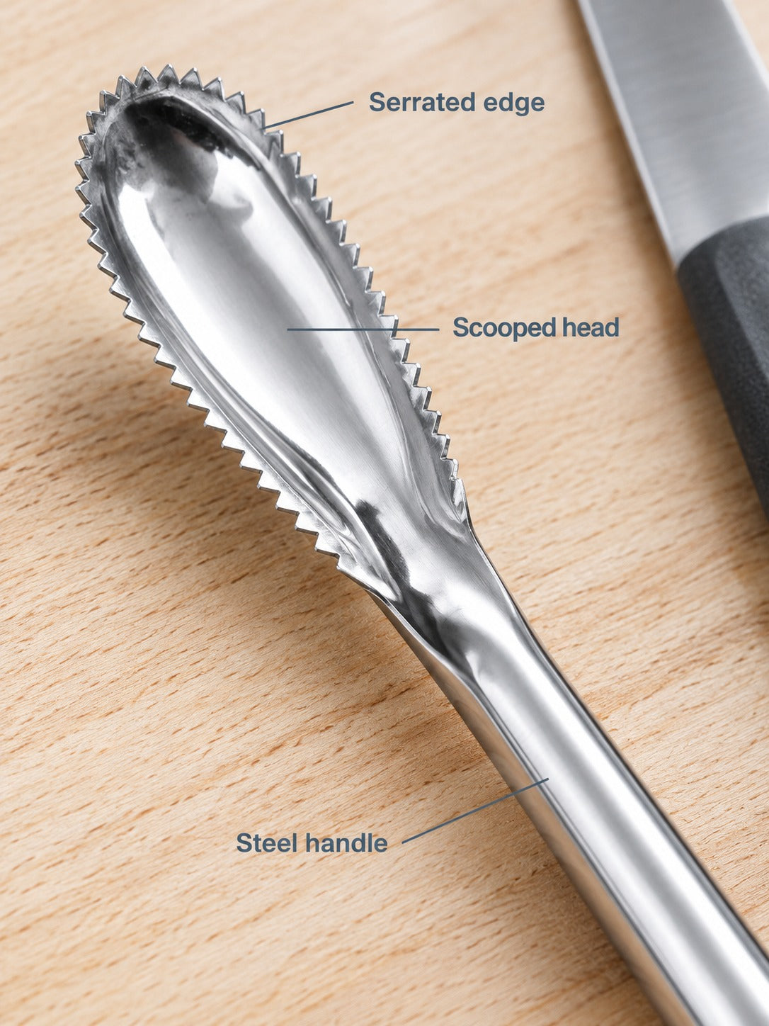 Stainless Steel Fish Scale Remover: Clean Fish Fast