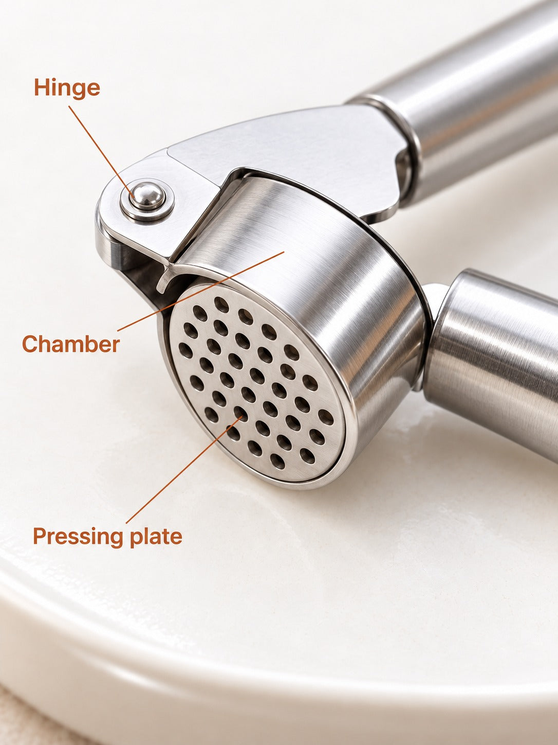 Stainless Steel Garlic Press and Peeler for Fast Prep