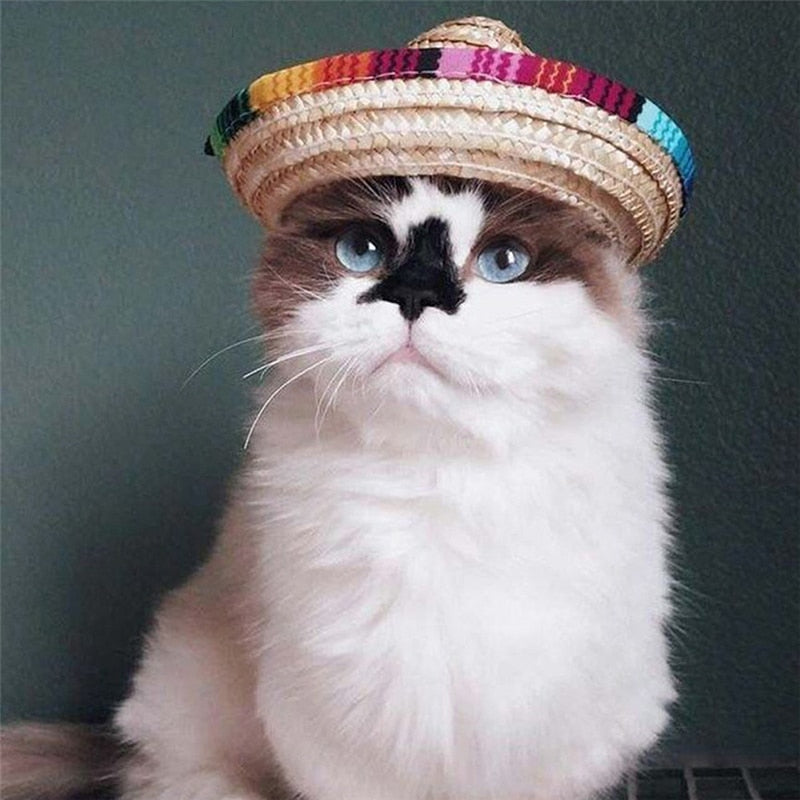 Adjustable Pet Straw Sombrero Hat for Festive Photos