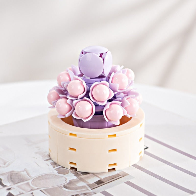 Succulent Building Blocks for Colorful Desktop Decor