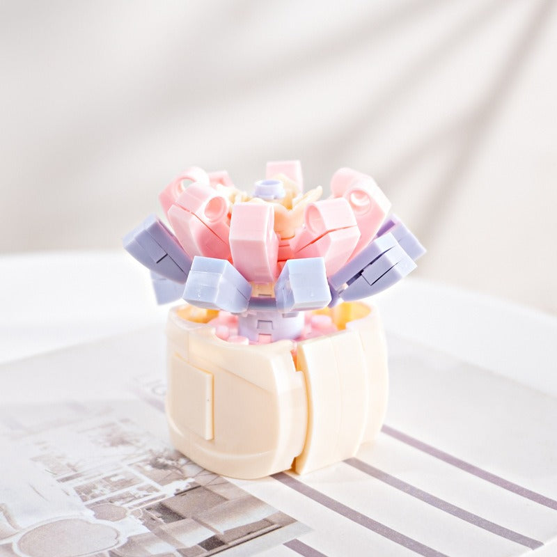 Succulent Building Blocks for Colorful Desktop Decor
