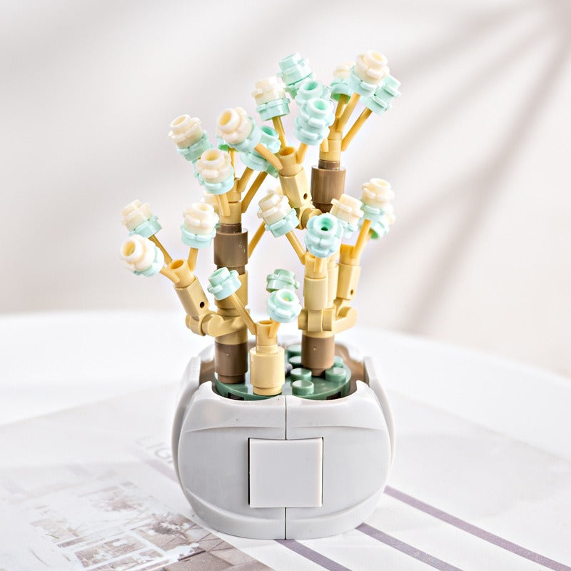 Succulent Building Blocks for Colorful Desktop Decor