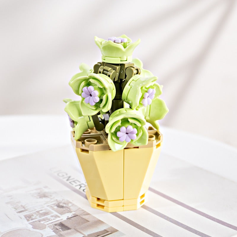 Succulent Building Blocks for Colorful Desktop Decor
