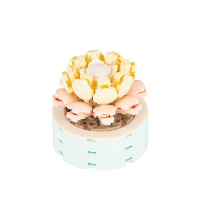 Succulent Building Blocks for Colorful Desktop Decor