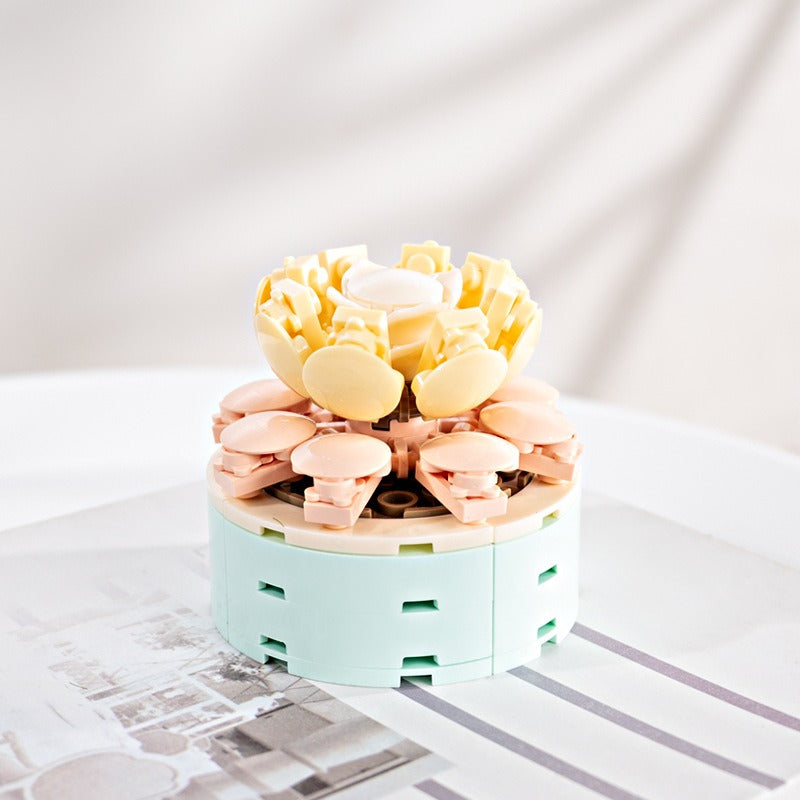 Succulent Building Blocks for Colorful Desktop Decor