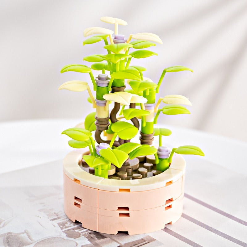 Succulent Building Blocks for Colorful Desktop Decor