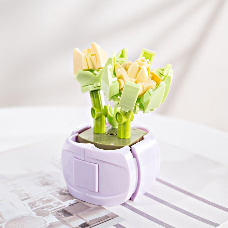 Succulent Building Blocks for Colorful Desktop Decor