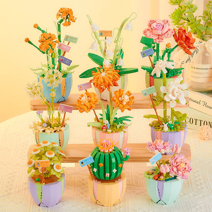 Succulent Building Blocks for Colorful Desktop Decor