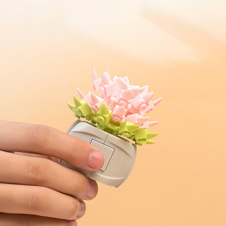 Succulent Building Blocks for Colorful Desktop Decor