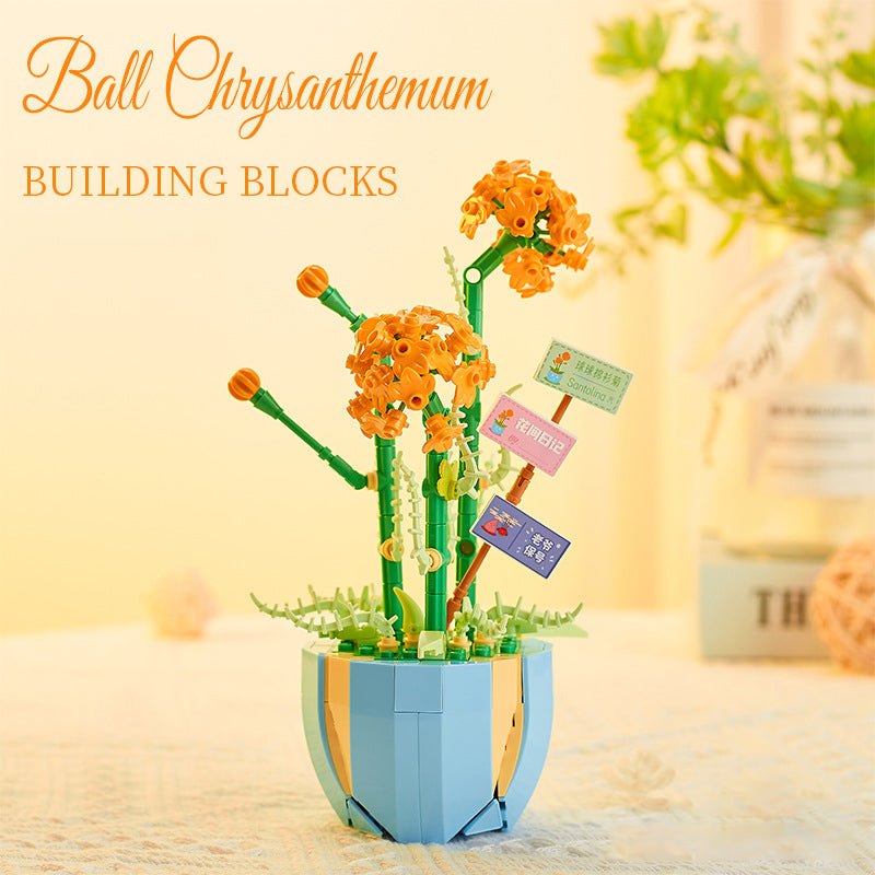 Succulent Building Blocks for Colorful Desktop Decor