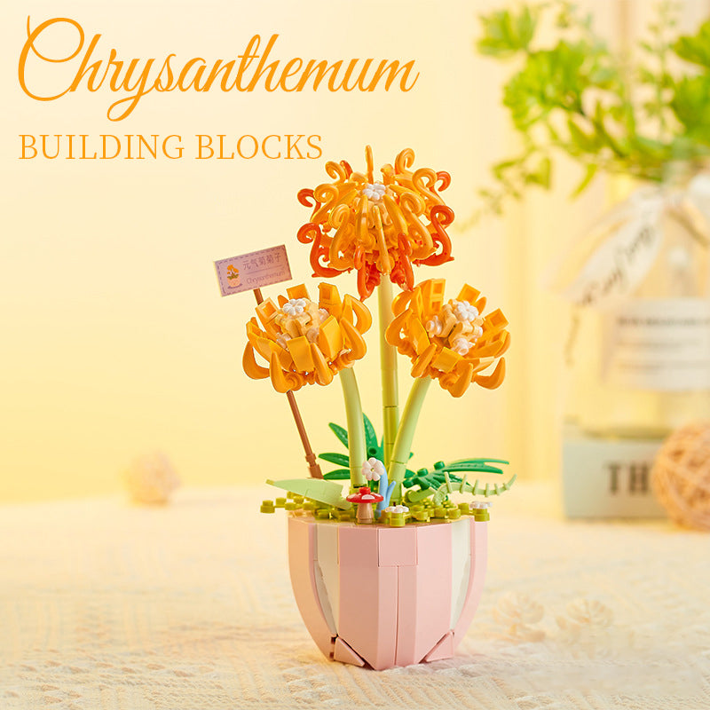 Succulent Building Blocks for Colorful Desktop Decor
