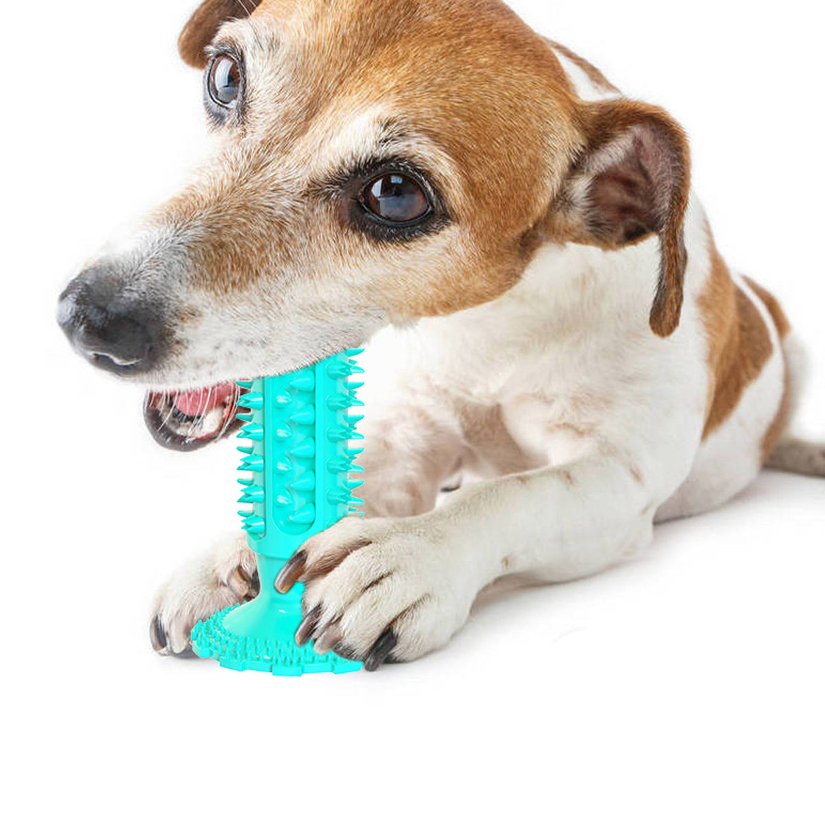 Suction Cup Dental Dog Toy for Engaging Chew Play