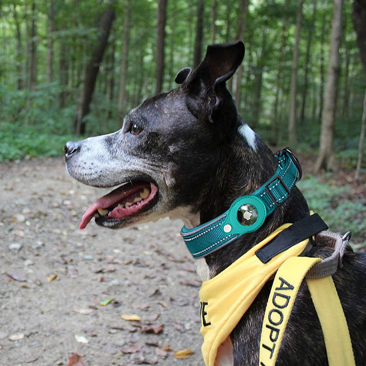 AirTag Dog Collar With Reflective Safety Tracker Holder