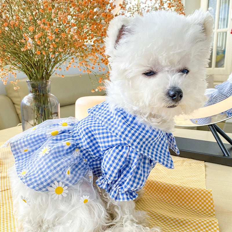 Summer Dog Dress with Breezy Daisy Tulle Skirt Outfit