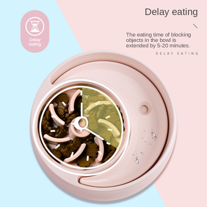 Slow Feeder Cat & Dog Bowl for Slower, Safer Meals