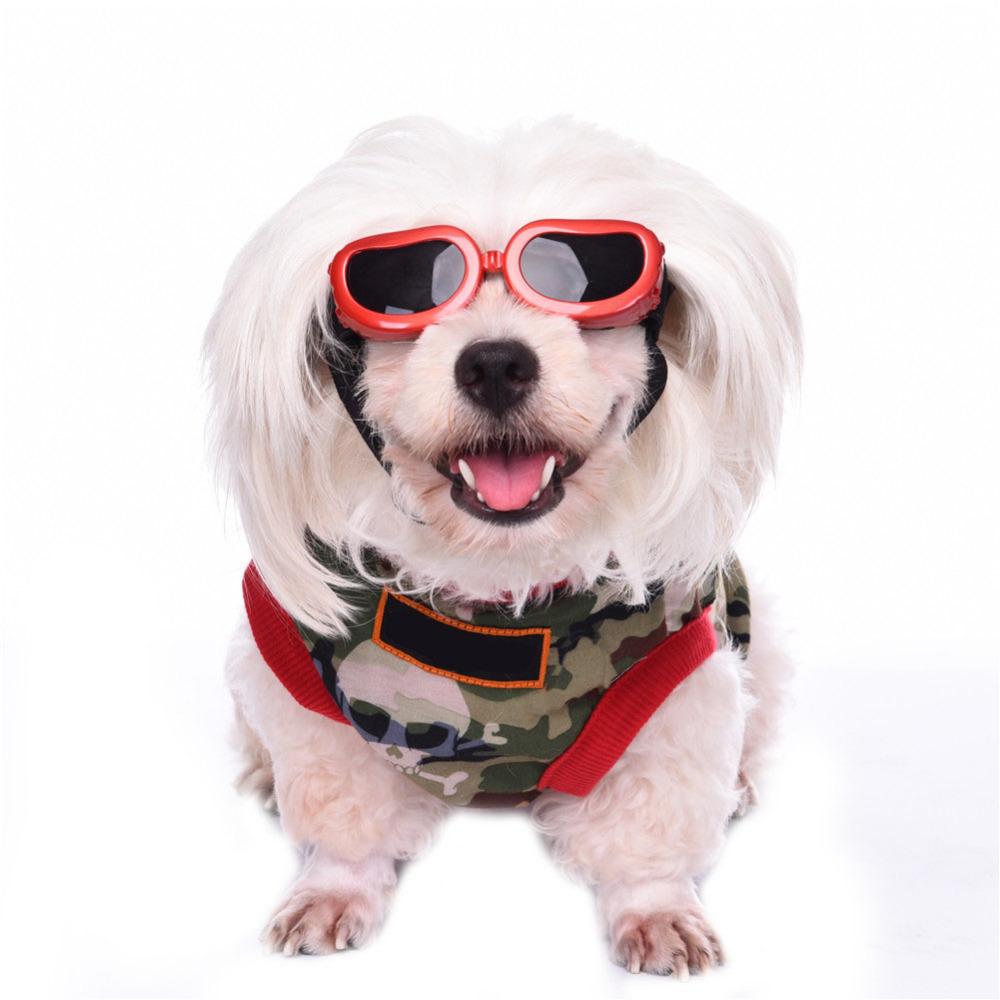 Dog Sunglasses for Small Dogs: Shade Eyes on Walks