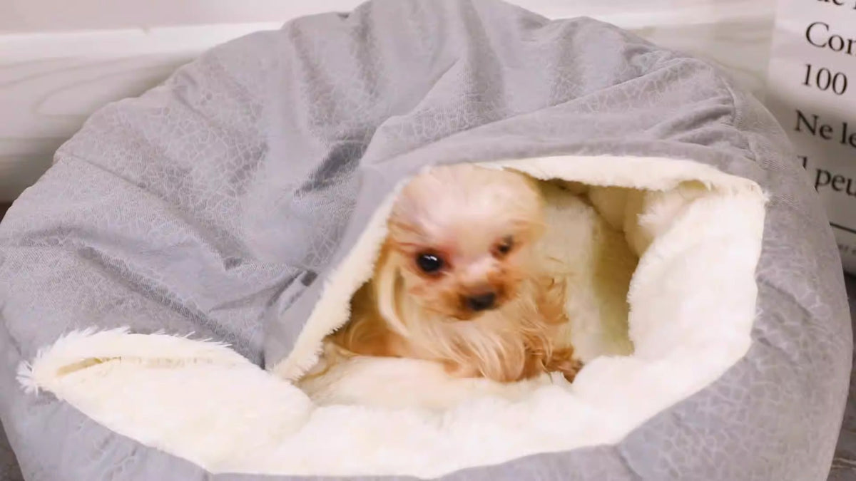 Enclosed Plush Cat Bed for Cozy, Calming Indoor Sleep