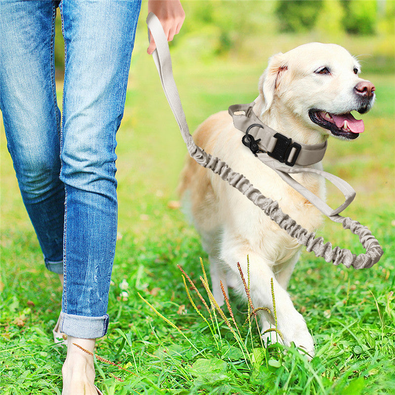 Tactical Dog Collar for Secure Outdoor Control & Comfort