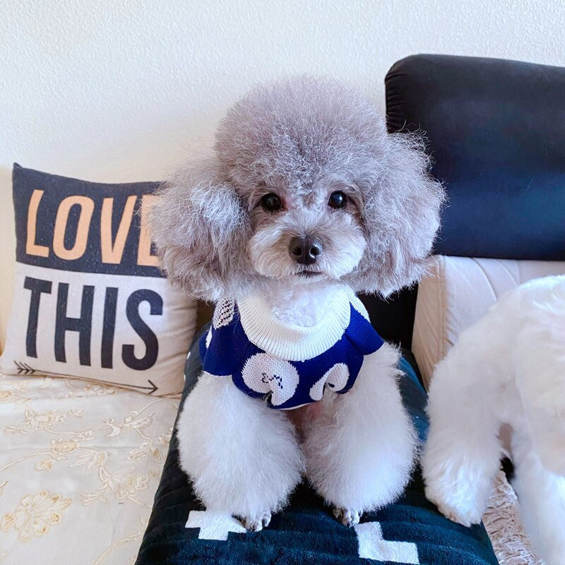 Small Dog Winter Sweater | Fruit-Print Knit Comfort