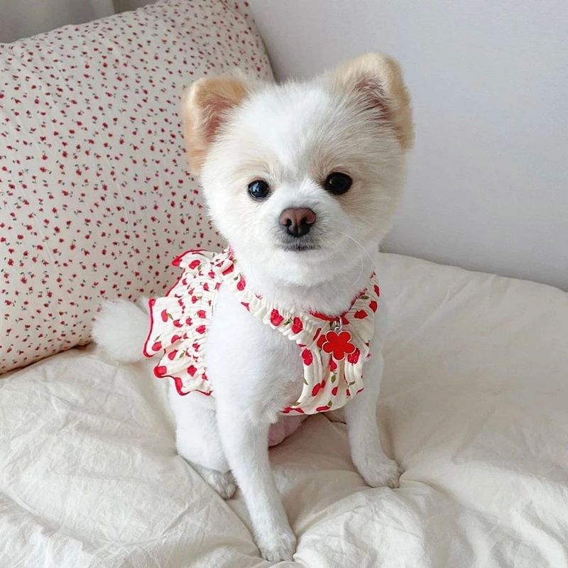 Puppy Summer Dress for Small Dogs & Cats, Fruit Print
