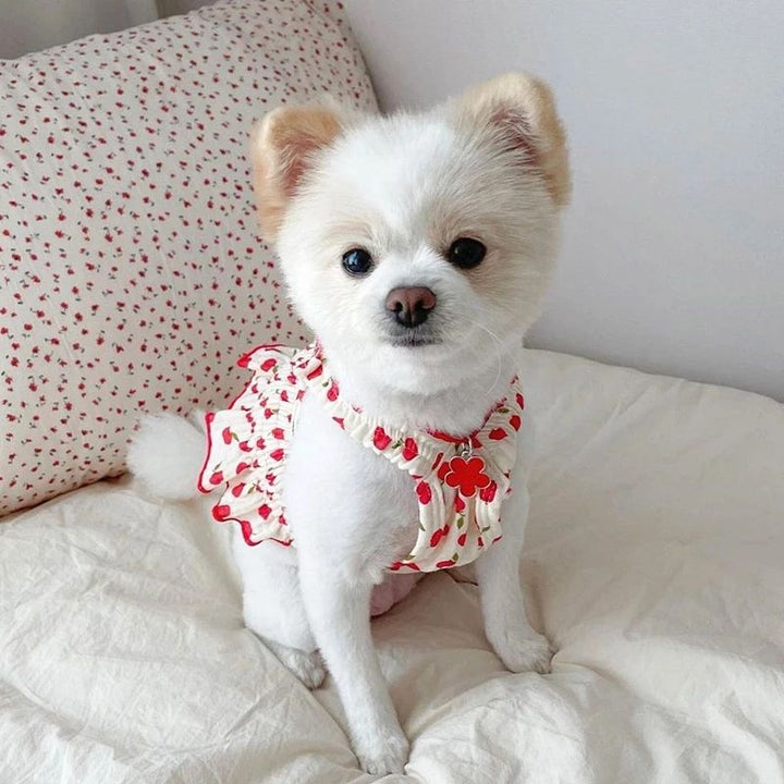 Puppy Summer Dress for Small Dogs & Cats, Fruit Print
