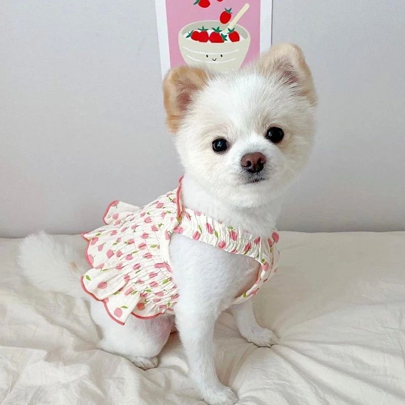Puppy Summer Dress for Small Dogs & Cats, Fruit Print