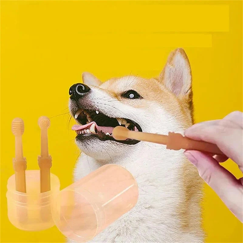 Pet Silicone Toothbrush for Gentle Dental Care
